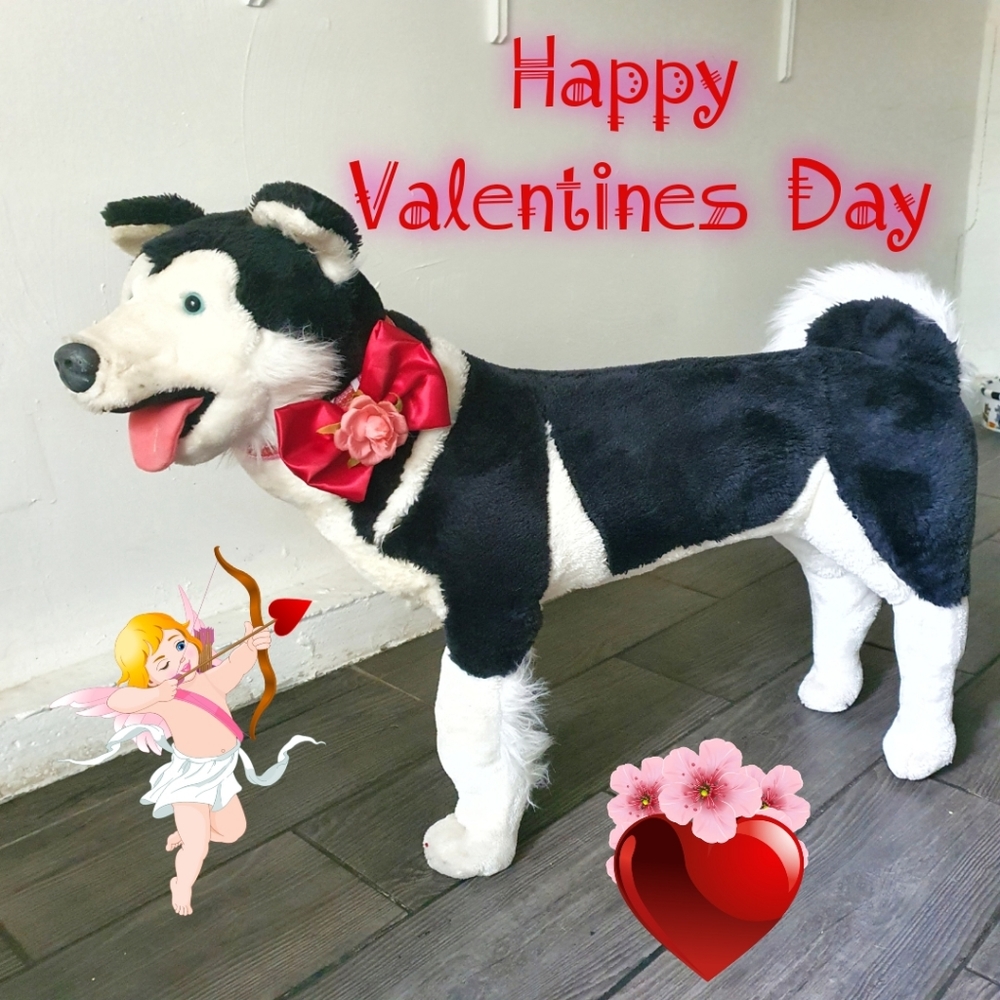 🐶 3 for $15 * Pablo's Red Satin With Flower Valentines Dog Bow Tie